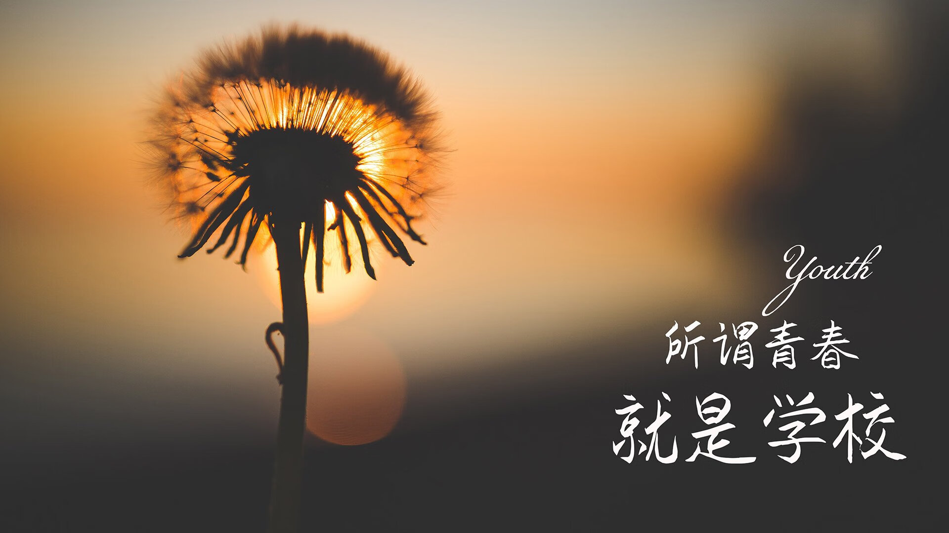 中国篮球运动文化传承与发展，篮球的文化传承和内涵