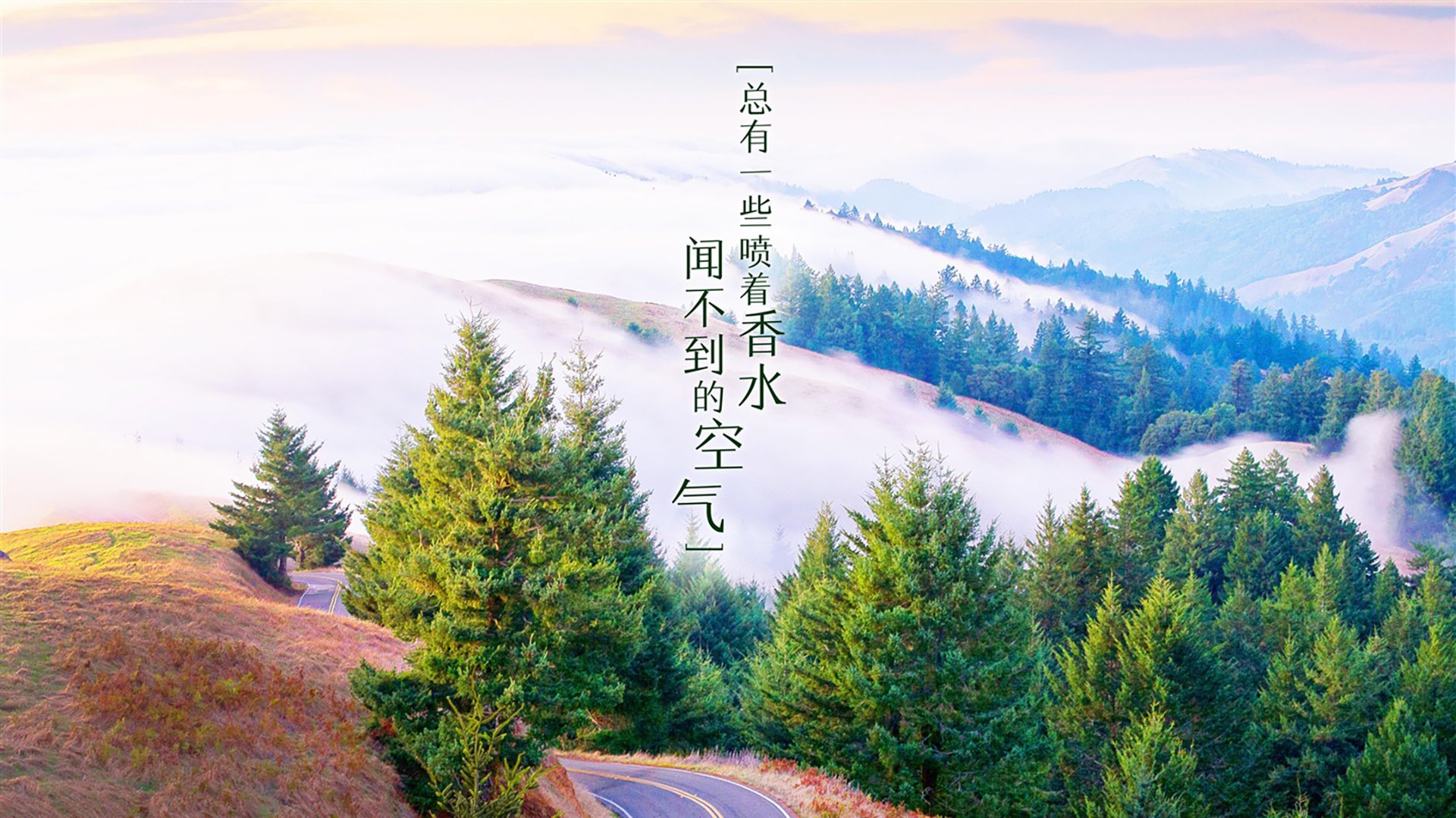 浙江雄狮替补球员关键时刻挺身而出，浙江雄狮服务队