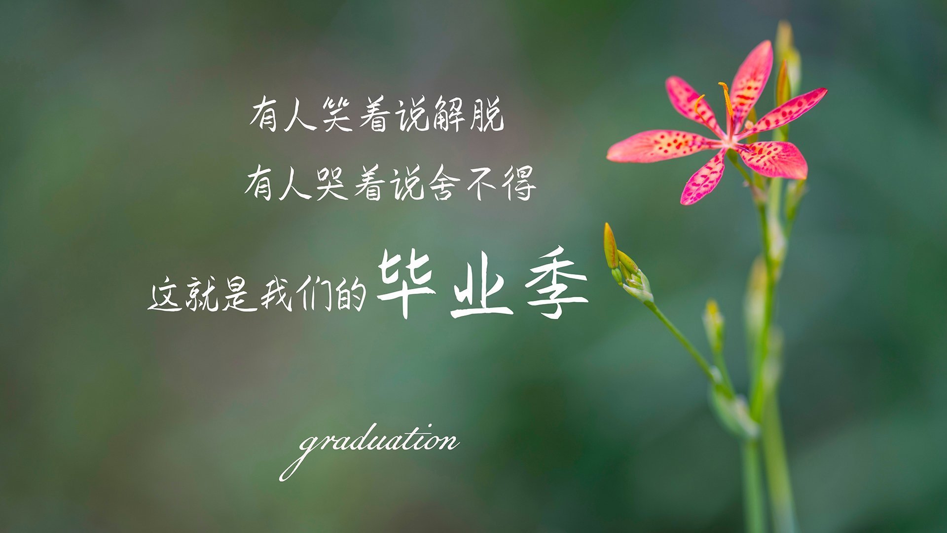 爱游戏官方网站-中国足球青训体系人才输送链条不断完善，中国足球青训发展