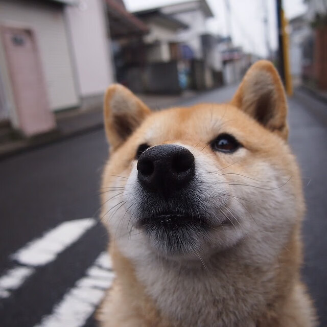 勇士核心复出促进战术改变,勇士体系