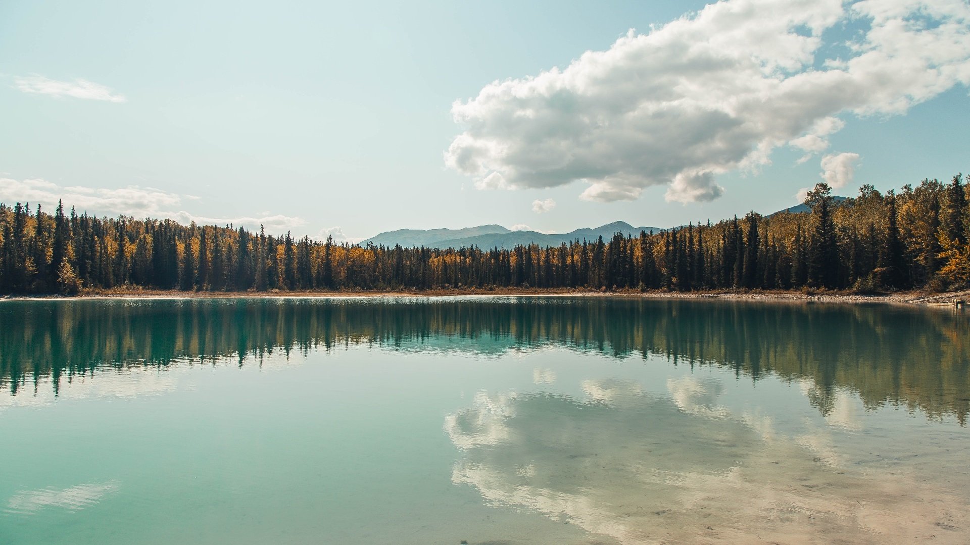 AYX GAME-利比亚男篮在非洲赛场中拼搏不止，奋勇争冠