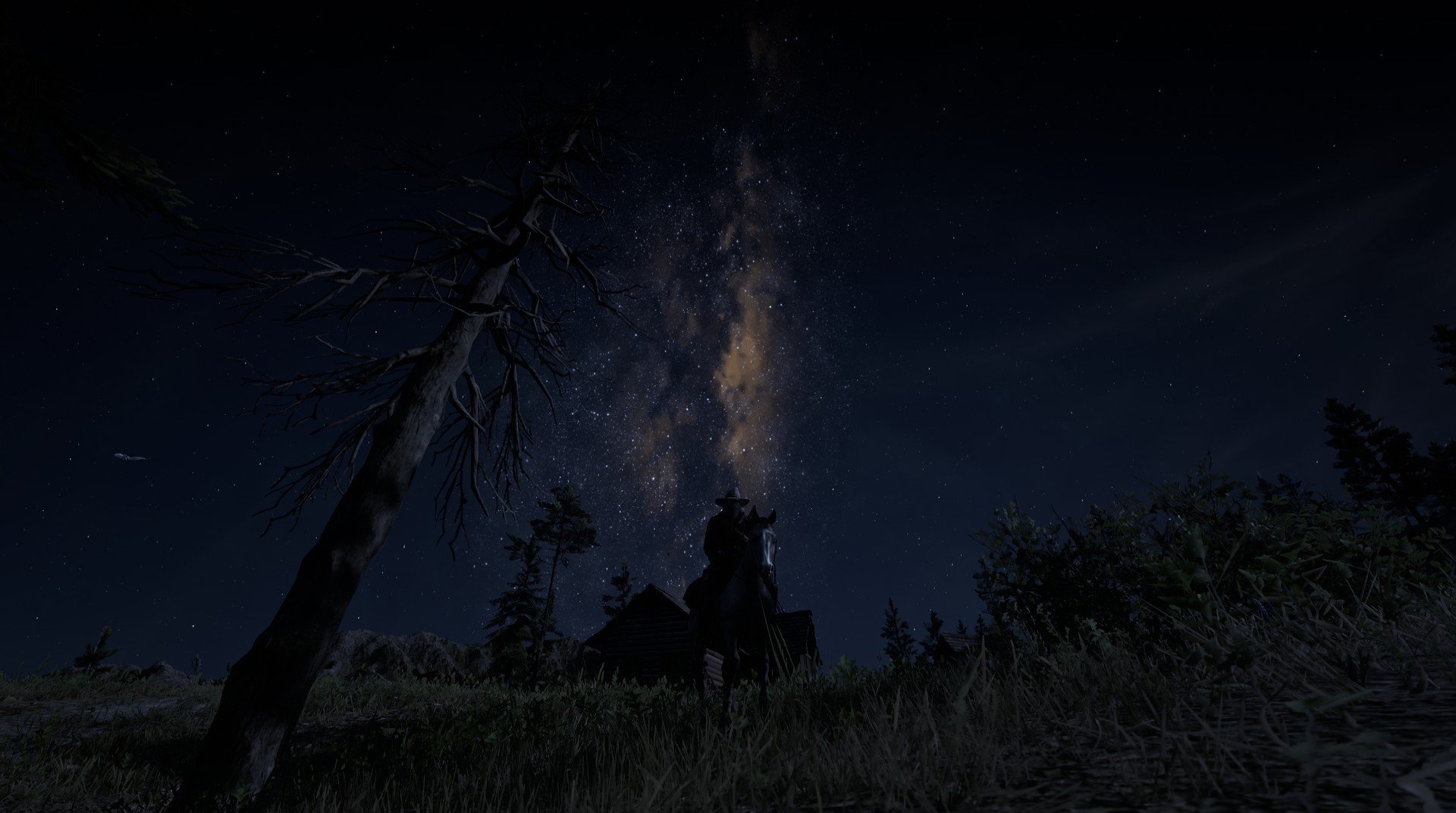 李娜表示未来可能执教青少年队伍,李娜老师资料