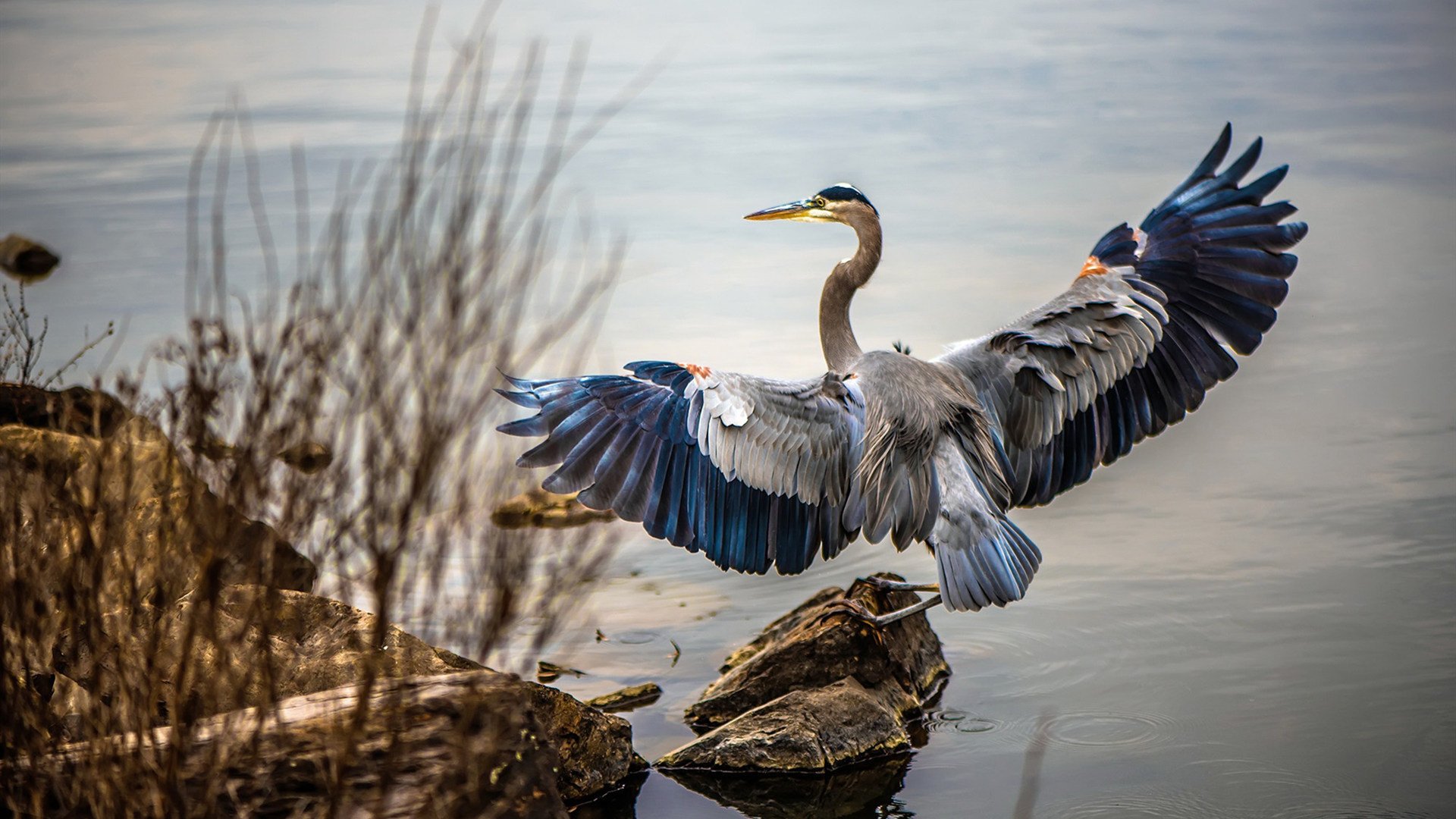 爱游戏体育（AYX）官方APP下载-英超决胜时刻：悬念到最后一秒！，英超决赛一般在几月