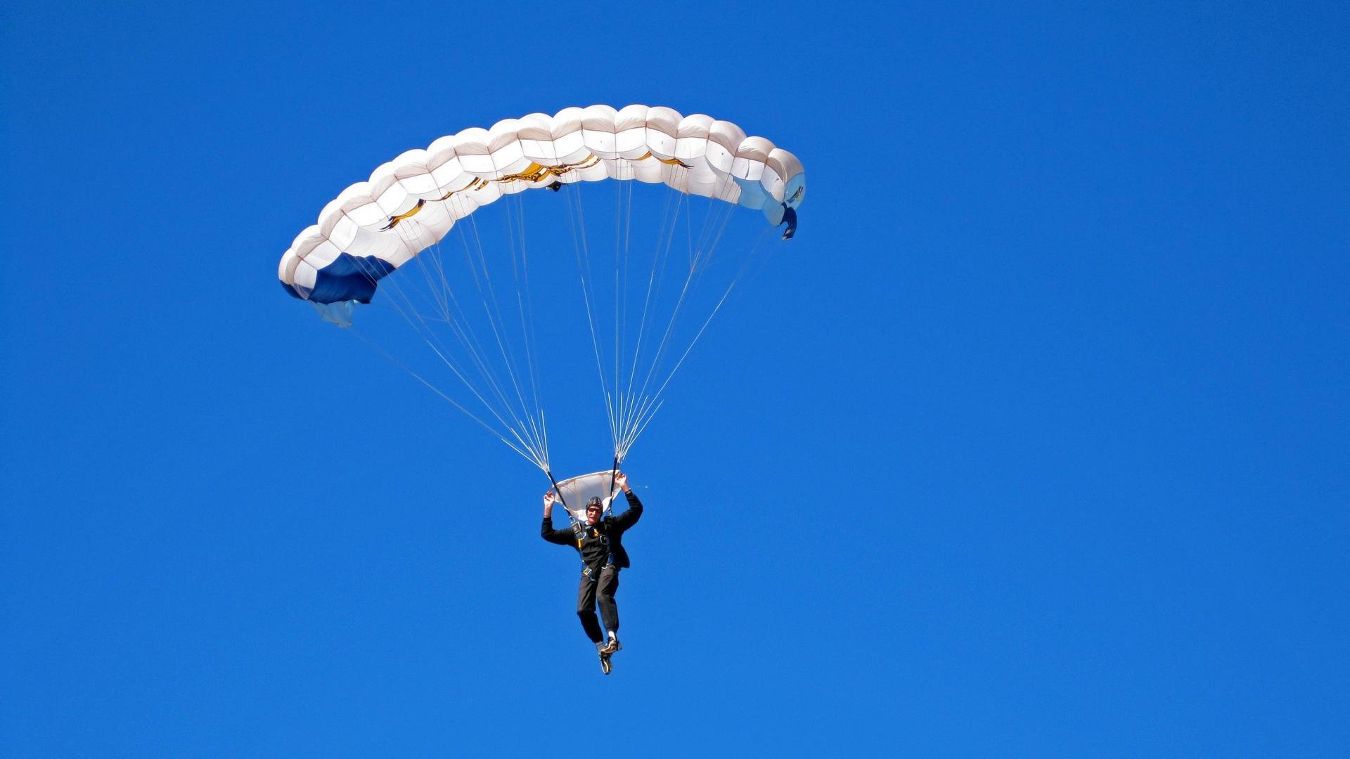 德国骑手多米安·米歇尔斯在2024年巴黎奥运会盛装舞步比赛中以“Dante”马匹获得第六名，展现坚韧精神。