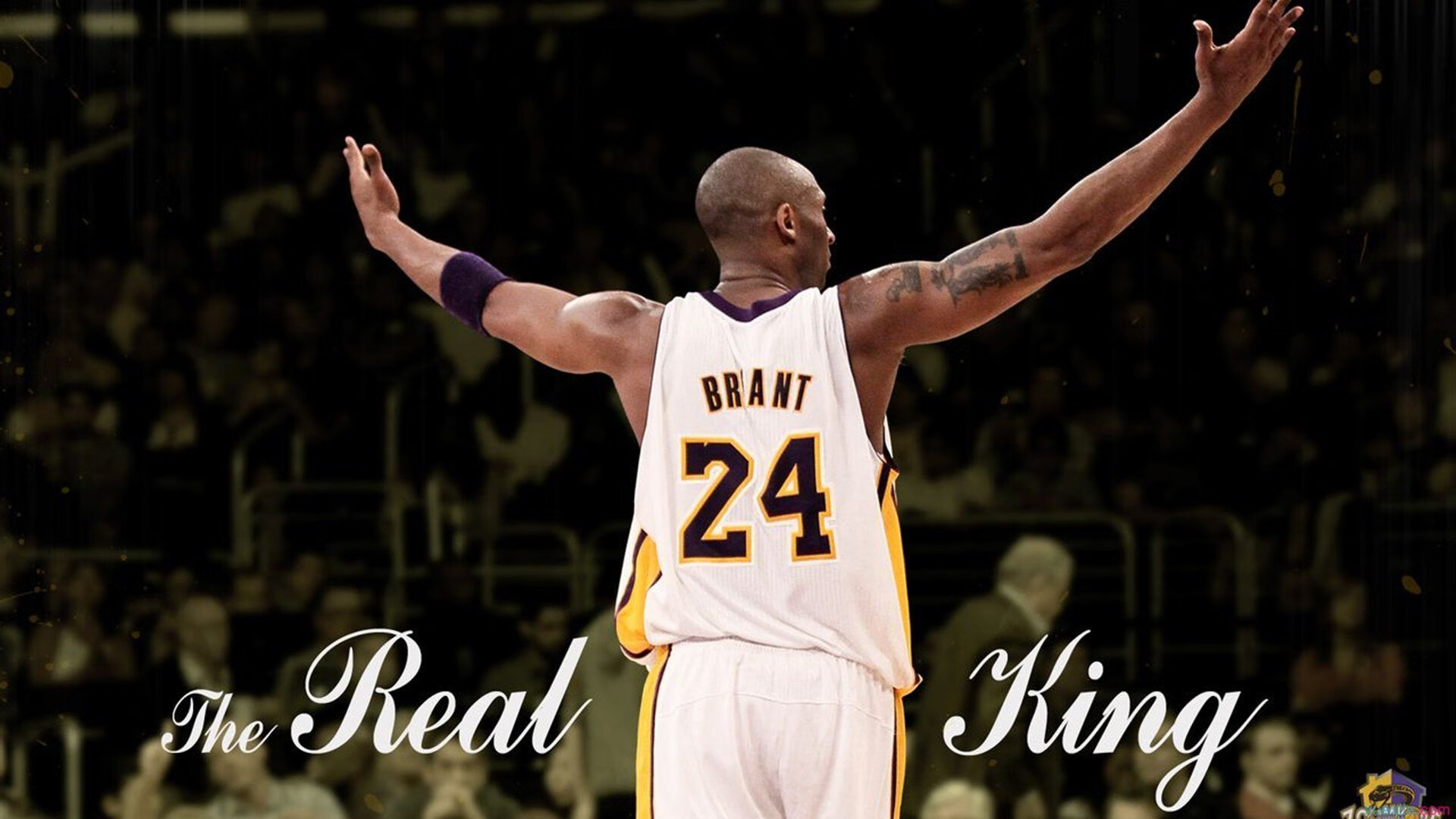 球场瞬间:全场最精彩、最震撼的放大版,球场上的精彩瞬间